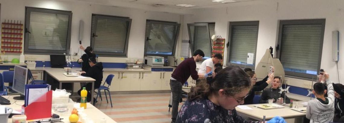 תכנית מצויינות – “קדם עתידים”
